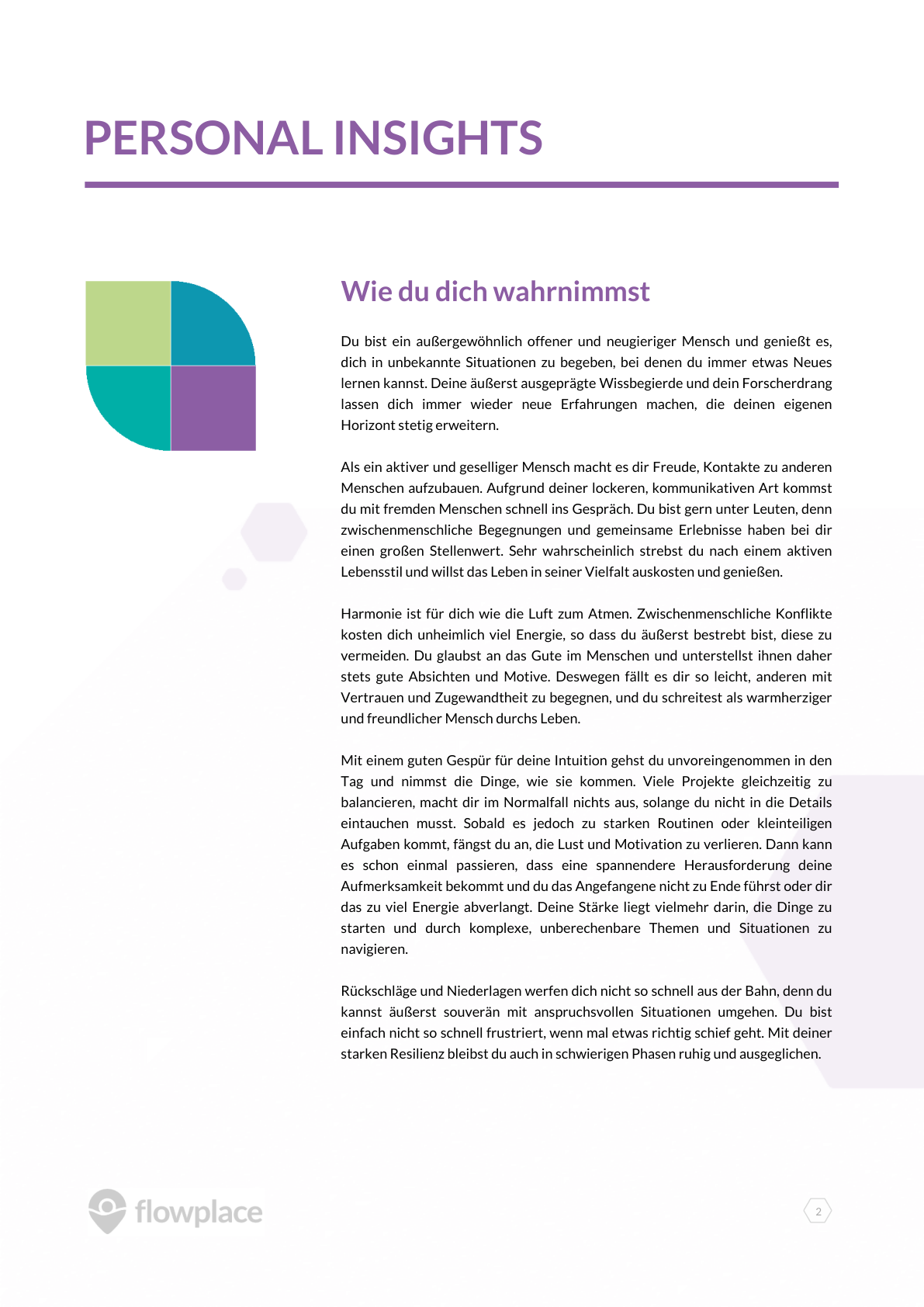 Report — Talentprofil